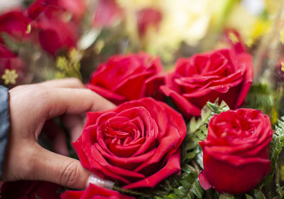 Close-up of hand holding rose bouquet