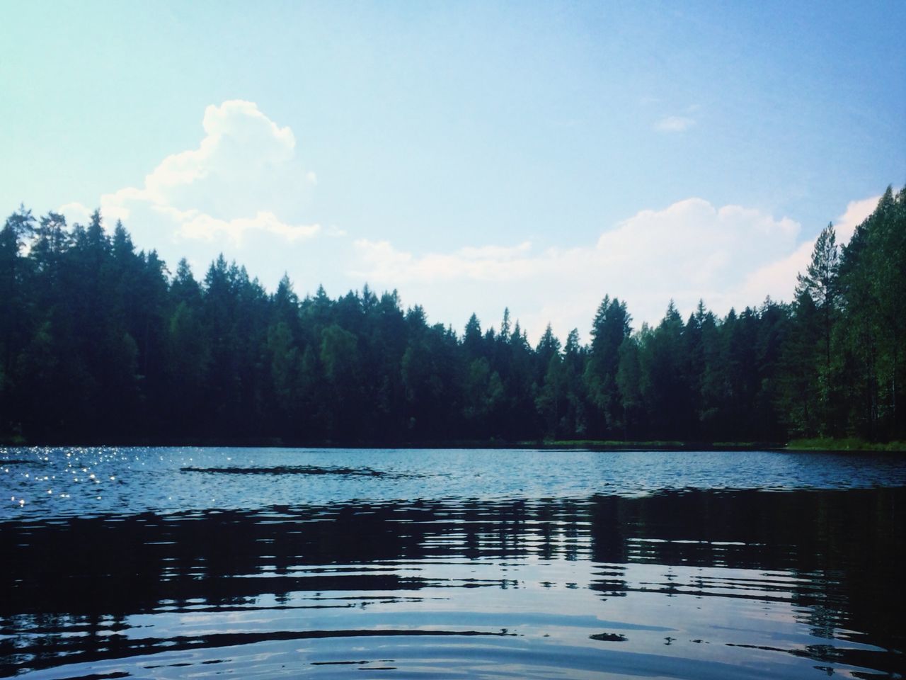 water, tree, lake, tranquil scene, sky, tranquility, scenics, reflection, beauty in nature, waterfront, nature, bird, animal themes, mountain, river, wildlife, cloud - sky, cloud, rippled, idyllic