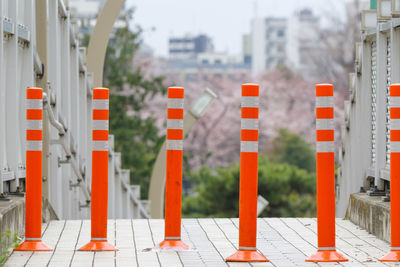 Close-up of wooden fence