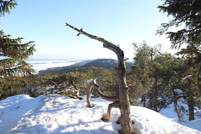 View of snow covered land against sky