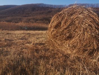 Full frame shot of hay bales on field against sky