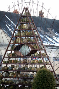 Low angle view of greenhouse