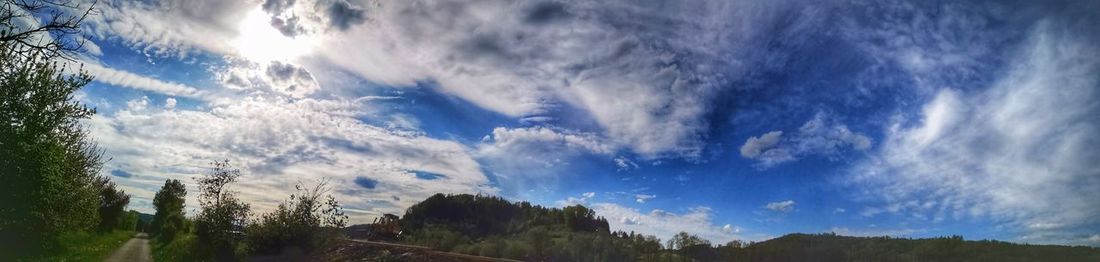 Low angle view of trees against sky