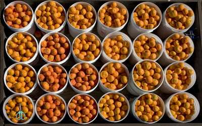 High angle view of oranges in containers for sale