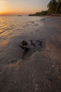 Scenic view of beach against sky during sunset