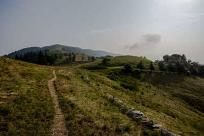 Path between the grassy meadows of the mountains around lake revine lake treviso veneto italy