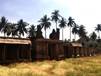 Palm trees on field against sky