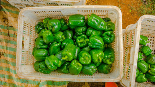 High angle view of vegetables in basket