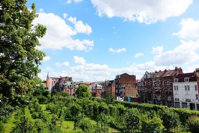 Trees and buildings against sky