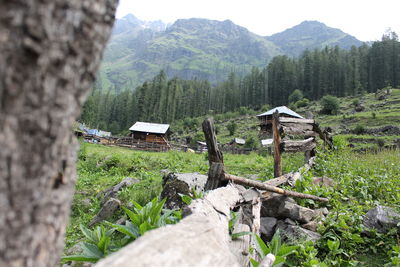 Scenic view of field against mountains