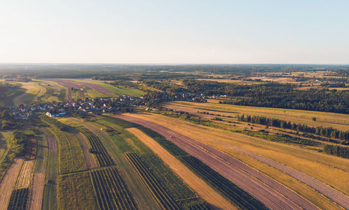 High angle view of agricultural field against clear sky