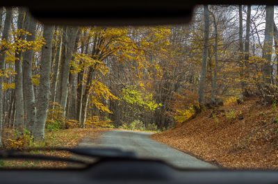 Road amidst trees in forest during autumn