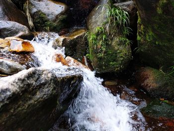 Scenic view of waterfall in forest