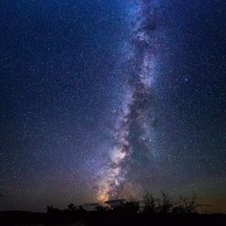 Low angle view of starry sky