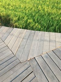 High angle view of boardwalk on field