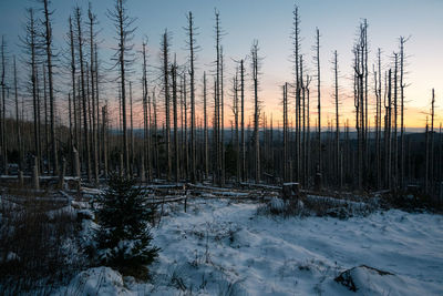 Scenic view of snow covered landscape