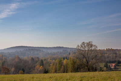 Trees on field against sky during autumn