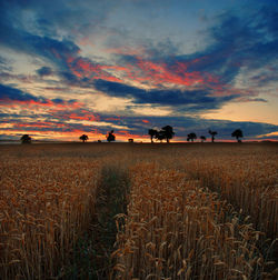 Scenic view of field against cloudy sky