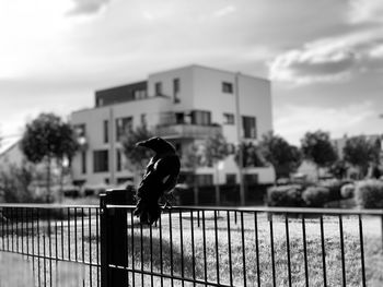 Man jumping on railing against sky