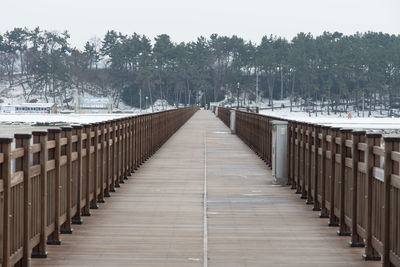 View of empty bridge against trees