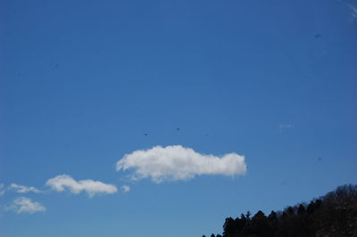 Low angle view of trees against blue sky