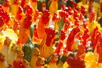 Full frame shot of multi colored flowers at market stall