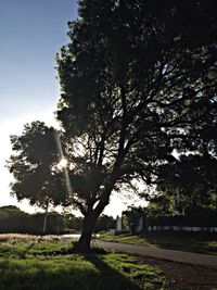 Scenic view of grassy field against sky