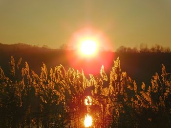 Close-up of sun during sunset