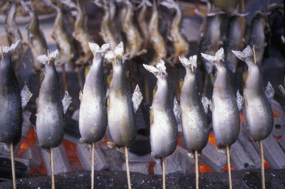Close-up of fish on skewers over grill