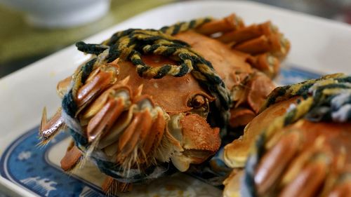 Close-up of crabs in plate