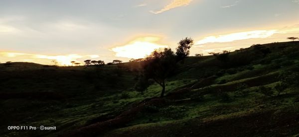 Scenic view of landscape against sky during sunset