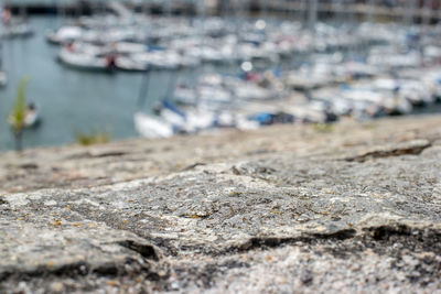 Close-up of rock at harbor