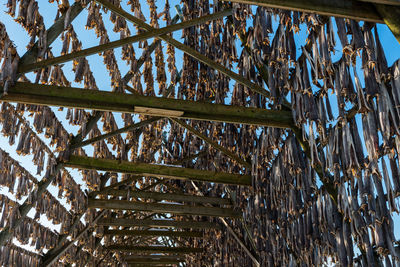 Low angle view of metallic structure