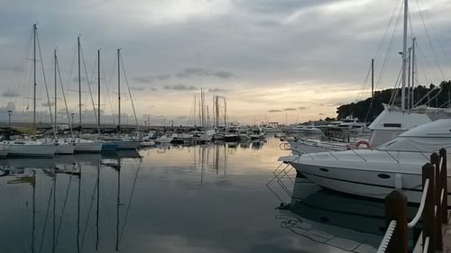 Boats moored at harbor