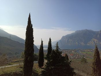 View of trees on landscape against sky