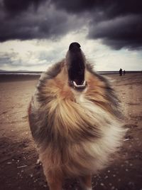 View of cloudy sky