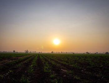 Scenic view of field against sky during sunset