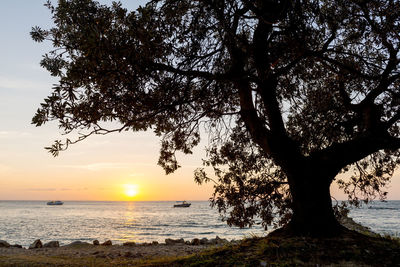 Scenic view of sea against sky during sunset