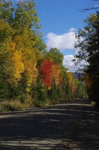 Road amidst trees against sky during autumn