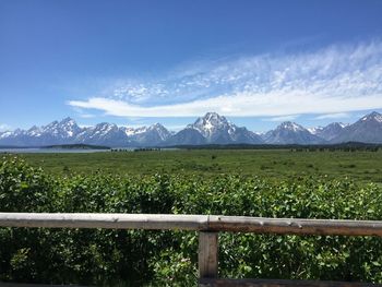 Scenic view of landscape against sky