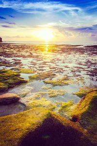 Scenic view of dramatic sky over landscape during sunset