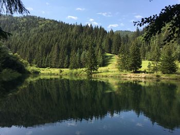 Scenic view of lake by trees against sky