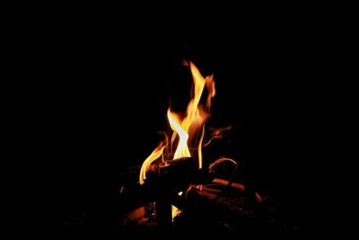 Close-up of bonfire at night