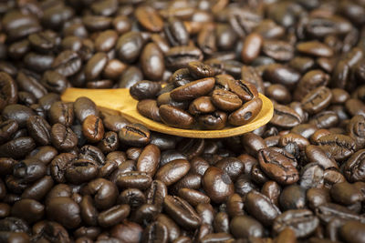 Close-up of roasted coffee beans