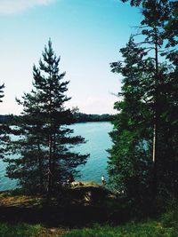 Calm lake with trees in background