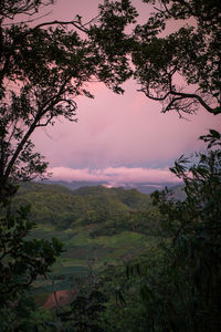 Scenic view of field against sky during sunset