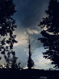 Low angle view of silhouette trees against sky during sunset