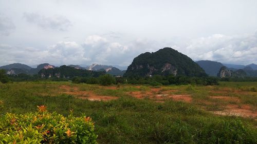 Scenic view of landscape against sky