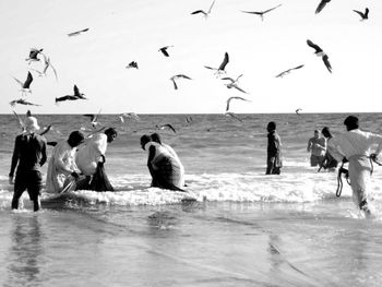 Birds flying over men at beach against sky