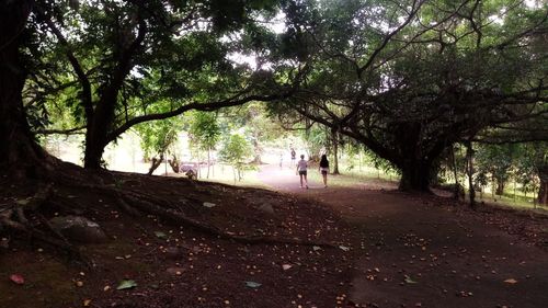 People by trees in park